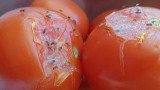 Jak usunąć muszki owocówki z domu? Sposoby na usunięcie muszek owocówek z kuchni. Skuteczne sposoby na uciążliwe owady 29.10.2022