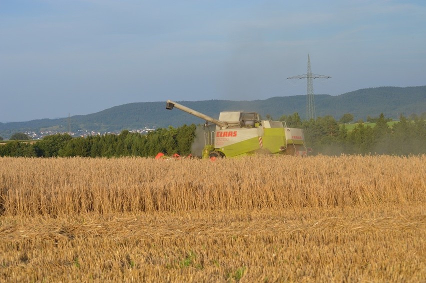 Według najnowszych danych - średnia cena ziemi rolnej w...