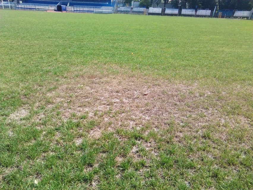 Kraków. Stadion Hutnika po Euro niszczeje, choć wydano ponad milion złotych [ZDJĘCIA, WIDEO]