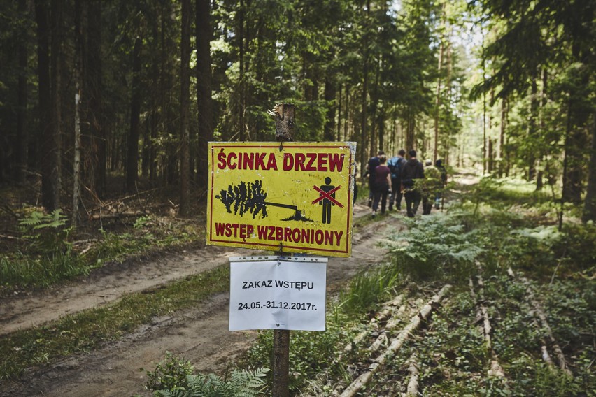 Lasy Państwowe uniemożliwiły naukowcom wizję lokalną na...