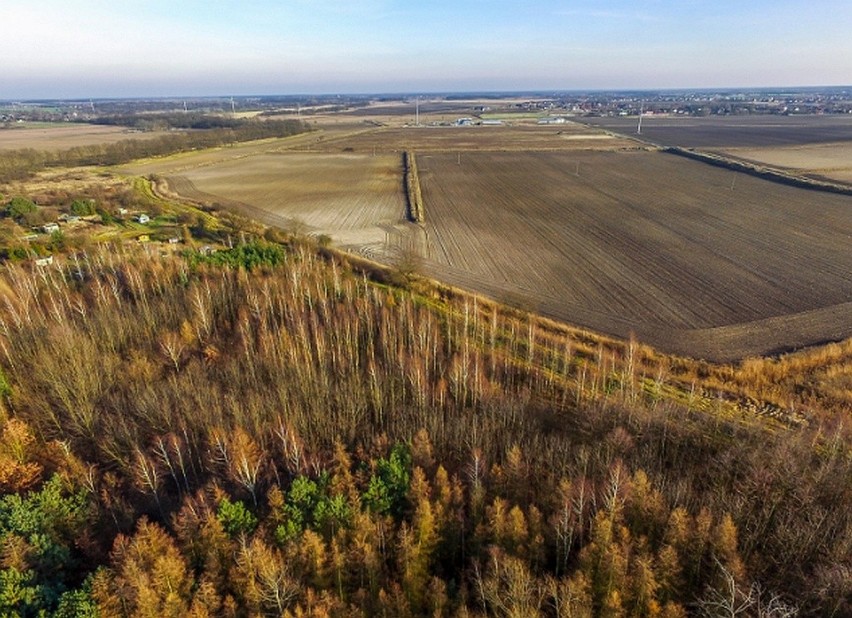 Wschodnia obwodnica do Długołęki. Czekają na decyzję i zaczynają budowę [ZDJĘCIA]