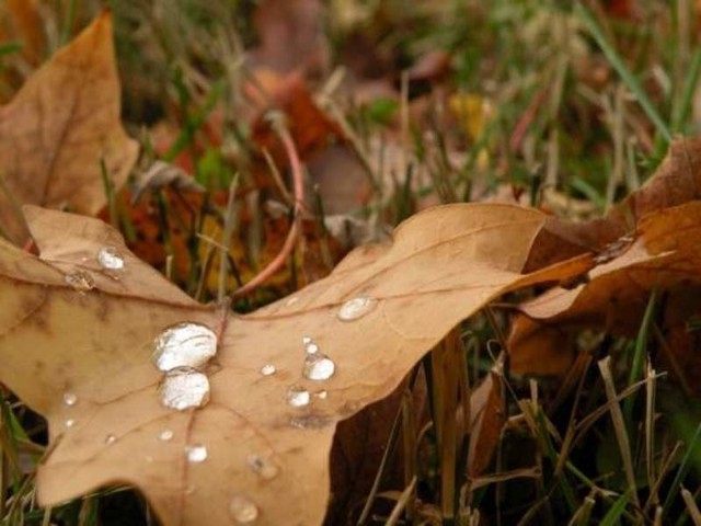 Zachmurzenie zmienne, opady nie są przewidziane. Temperatura odczuwalna wyniesie 4 stopnie C. Wiatr będzie wiał z siłą 6 m/s. Wilgotność powietrza wyniesie 77 proc. Ciśnienie &#8211; 1017 hPa.