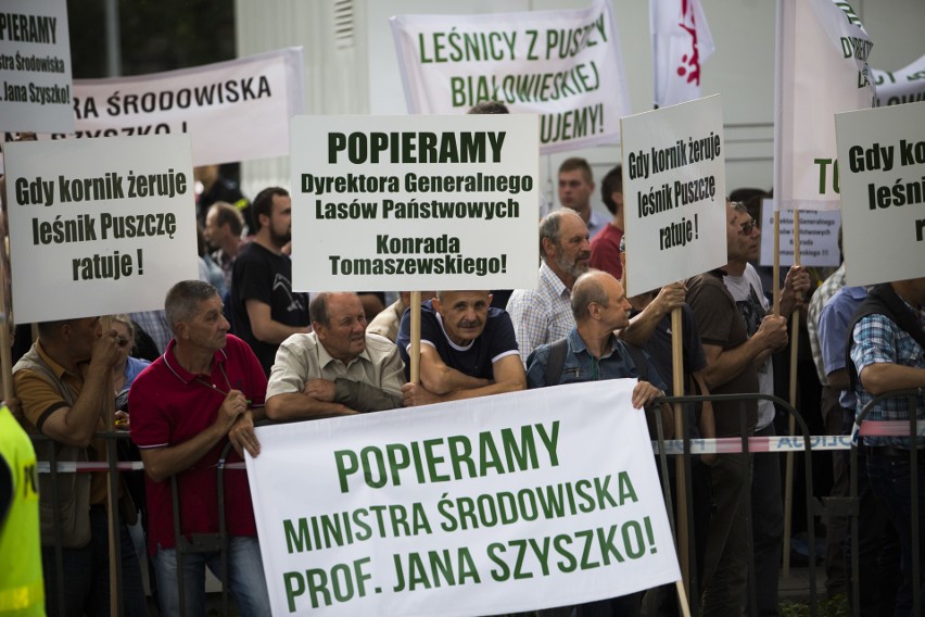 Kraków. Protest w obronie Puszczy Białowieskiej [ZDJĘCIA, WIDEO]