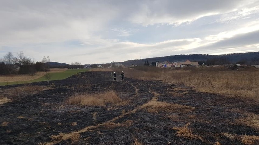 Gmina Sułkowice. Apele nic nie dają, znów płoną trawy