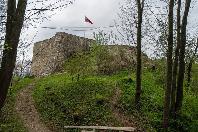 Muszyna. Chcą zrekonstruować ruiny zamku, ale oferty na te prace są za wysokie. Kiedy będzie gotowa kolejna atrakcja uzdrowiska? [ZDJĘCIA]