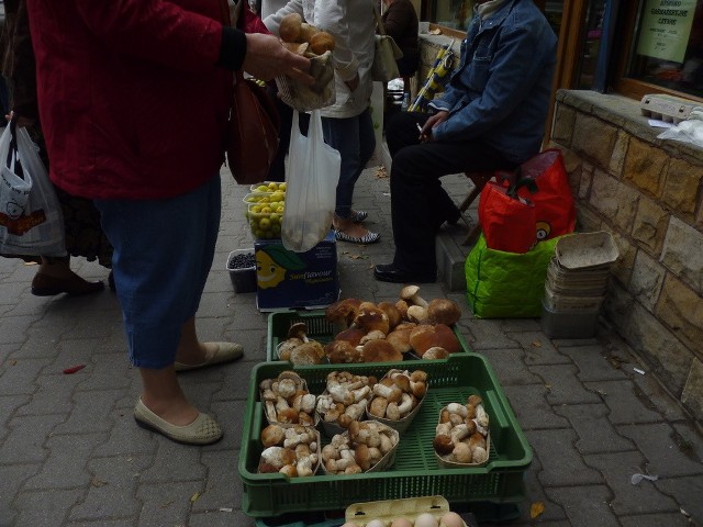 Zarówno osoby, które sprzedają grzyby na targu, czy te, które zbierają je na własne potrzeby, mogą zbadać bezpłatnie swoje zbiory w Sanepidzie.