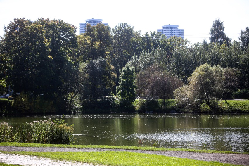 Wybieracie się na jesienny spacer? Zajrzyjcie do Parku Śląskiego w Chorzowie