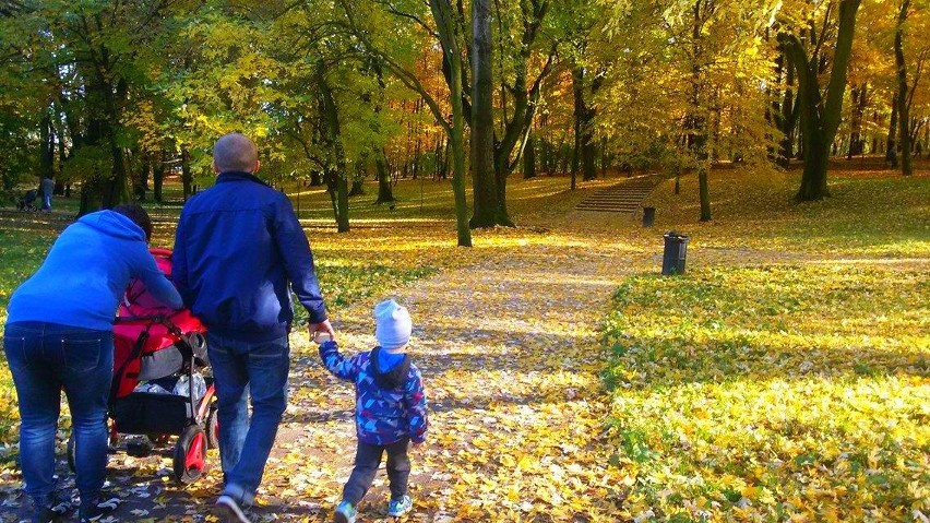 Gdzie najlepiej spędzić piękną jesienną niedzielę? Na...