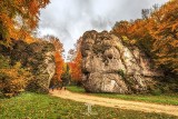 Urokliwe kolory jesieni w podkrakowskich dolinkach [ZDJĘCIA]