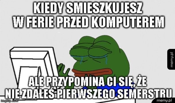 Ferie zimowe MEMY 2019. Nareszcie czas na odpoczynek! Zobacz...