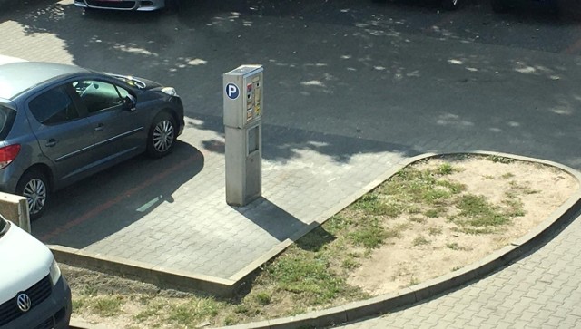 Parkomat stanął na miejscu parkingowym, choć od krawężnika dzieliło go zaledwie kilkadziesiąt centymetrów.
