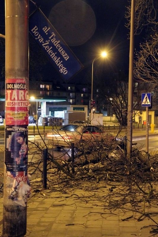 Wichura na Dolnym Śląsku. Jest śmiertelna ofiara wiatru (WASZE ZDJĘCIA)