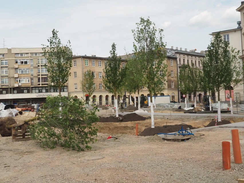 Na placu zostanie posadzonych ponad 60 drzew.