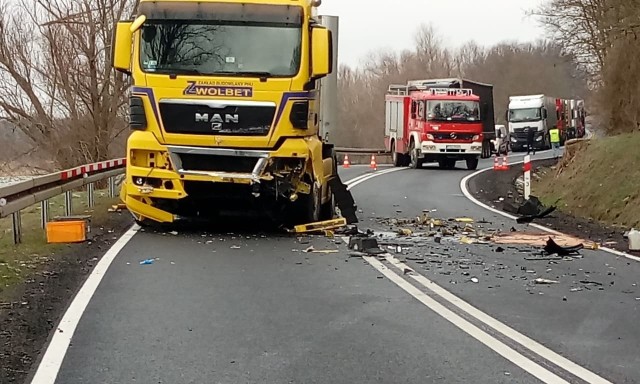 Do tragicznego wypadku doszło na drodze krajowej nr 31 niedaleko wsi Owczary w powiecie słubickim.