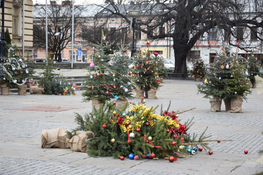 Nowy Sącz. Drzewka bożonarodzeniowe ustawione na rynku nie wytrzymują naporu wiatru [ZDJĘCIA]