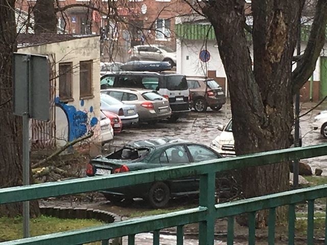 Na ul. Kartuskiej w Gdańsku wiatr powalił drzewo - informuje...