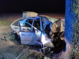 Wypadek w Rzadkwinie pod Strzelnem. Samochód wpadł na drzewo. Zdjęcia
