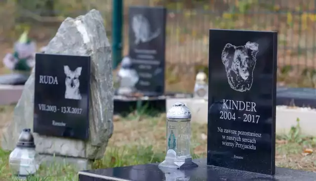 2.11.2018 rakszawa cmentarz dla zwierzat wegliska rakszawa fot krzysztof kapica