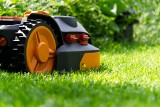 Jak założyć trawnik? Zanim wysiejesz w kwietniu trawę, zadbaj o otoczenie. Przygotowanie gruntu to podstawa