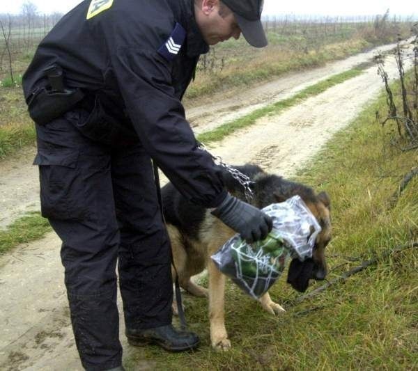 W poszukiwaniach pomagały cztery psy tropiące z Komendy Powiatowej Policji w Sandomierzu.
