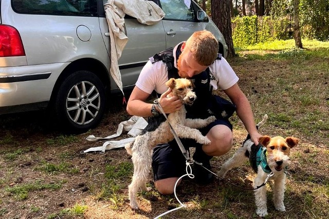 Psy należące do mieszkańca województwa świętokrzyskiego uwolnili policjanci, następnie się nimi zaopiekowali.
