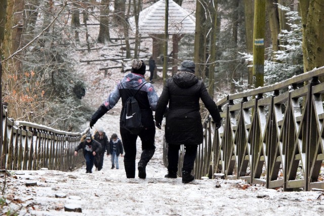 Góry Świętokrzyskie wspaniale prezentują się w zimowej scenerii. W piątek, 8 stycznia nie brakowało chętnych na wędrówkę po Puszczy Jodłowej. Turyści chętnie spacerowali leśnym szlakiem i odwiedzali klasztor na Świętym Krzyżu.Zobaczcie zdjęcia>>>