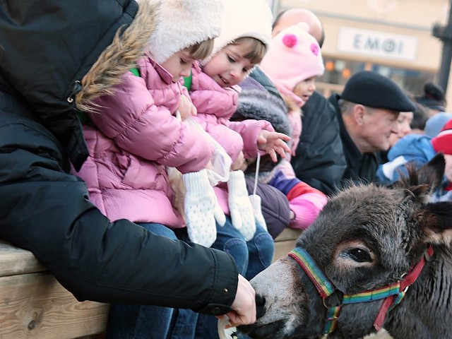 3,5-letnie bliźniaczki Michalina i Magdalena Szmigielówny odwiedzając zwierzaki przyniosły dla nich odrobinę kapusty i jabłek.