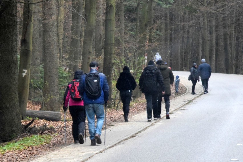 Majówka w Górach Świętokrzyskich. Nie wszyscy turyści przestraszyli się chłodnej aury