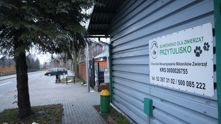 Schronisko w Chojnicach wstrzymuje adopcje