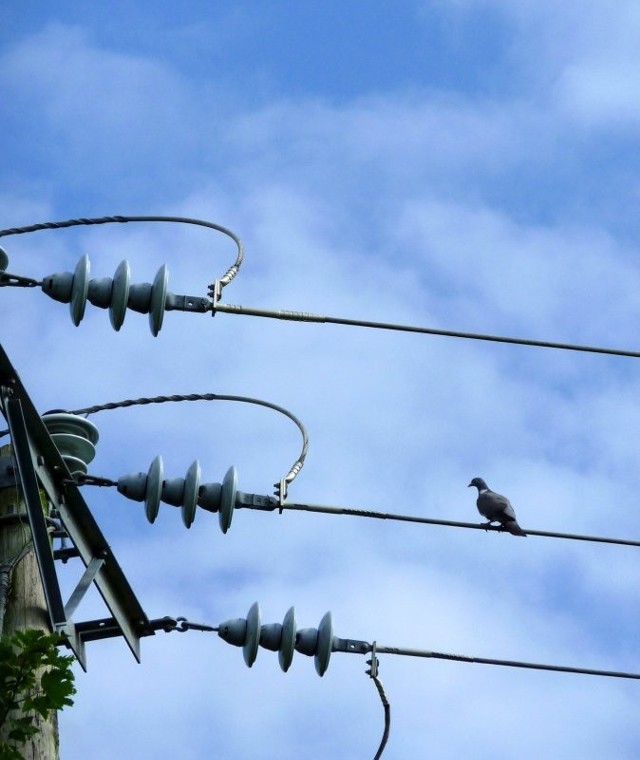 Nowe słupy energetyczne poprawią bezpieczeństwo energetyczne Świnoujścia.