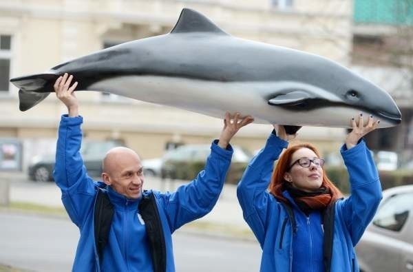 Aktywiści WWF z "morświnem", który przez ostatnie tygodnie podróżował po Polsce, by promować akcję Godzina dla morświna.