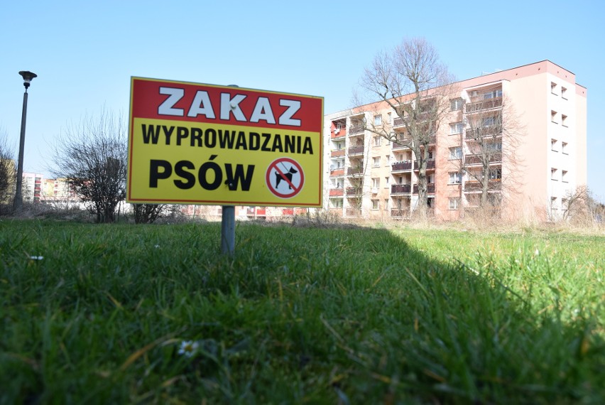 Półhektarowa działka przy ulicy Archimedesa to potencjalnie...