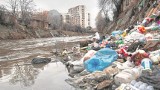 Ekologia. Alicja Gałandzij: Znoszę do domu cudze śmieci 