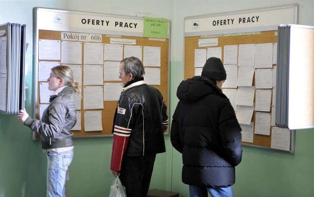 Praca w Toruniu. Prezentujemy najnowsze oferty pracy z Powiatowego Urzędu Pracy w Toruniu. Sprawdź, kogo obecnie poszukują i ile można zarobić!Polecamy: Aukcje WOŚP 2020 w Toruniu. Co można wylicytować?Zobacz także: Przestępcy poszukiwani przez kujawsko-pomorską policję. Sprawdź, czy kogoś znasz! [zdjęcia]WIĘCEJ SZCZEGÓŁÓW NA KOLEJNYCH STRONACH >>>>>