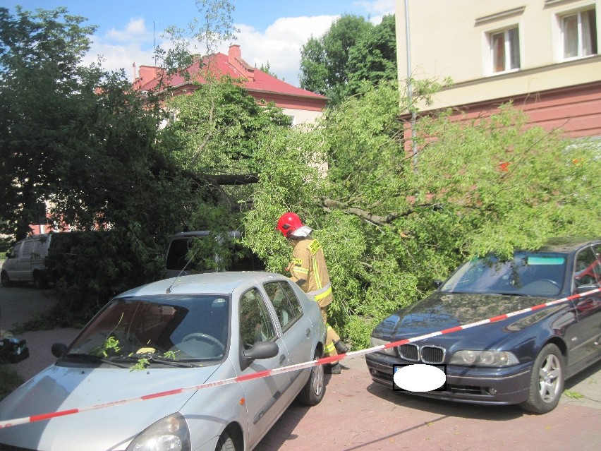 Na ul. Puławskiej połamane drzewo uszkodziło cztery samochody (ZDJĘCIA)