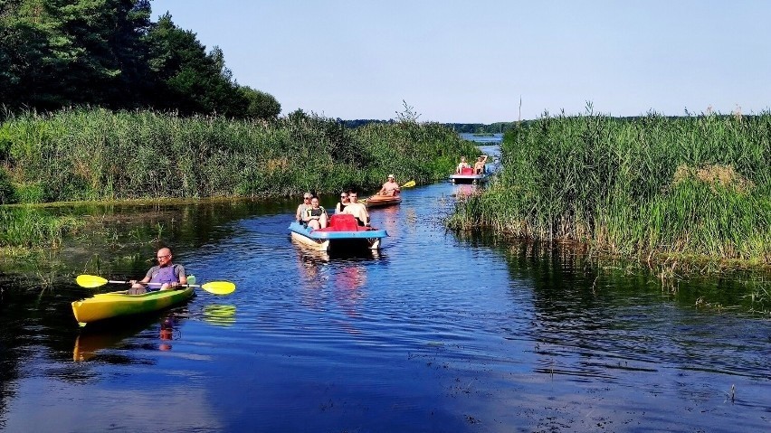 Ceny w wypożyczalniach nad Zalewem Sulejowskim.