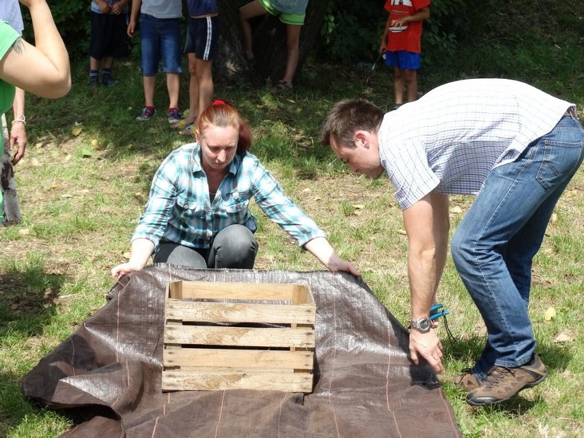 Ruda Śląska: Na Kaufhausie powstaje ogród społeczny