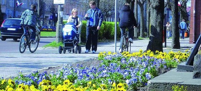 Nowa rabata z bratkami pojawiła się przed kościołem Najświętszego Serca Jezusowego przy ulicy Wojska Polskiego