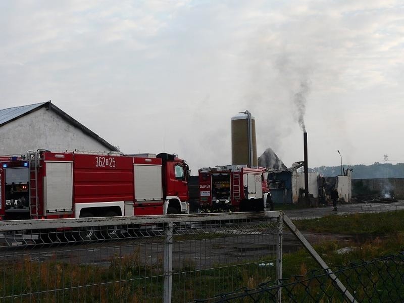 Pożar fermy drobiu w Kawiatkowicach, 05.10.2015