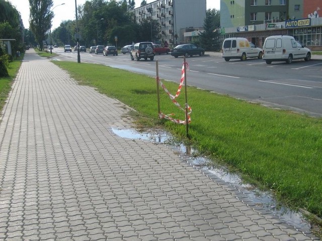 Awaria wodociągu przy ulicy Kopernika w Tarnobrzegu trwa już szósty tydzień, a zalewająca trawnik i chodniki woda, drażni przechodniów, którzy ponoszą koszty wycieku wody