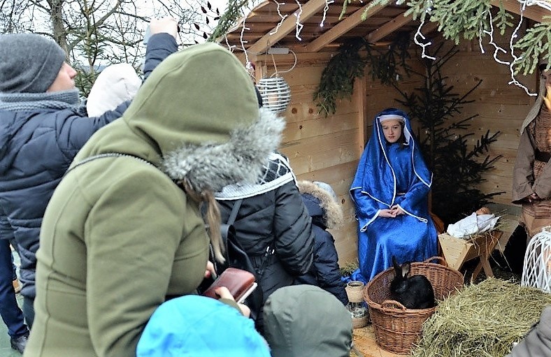 Tradycyjne szopki w mieleckich kościołach. W Bazylice była żywa szopka, na Wojsławiu ruchoma [ZDJĘCIA, WIDEO]