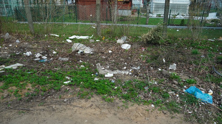 Śmieci obok ogrodzenia działek przy ulicy Łupaszki....
