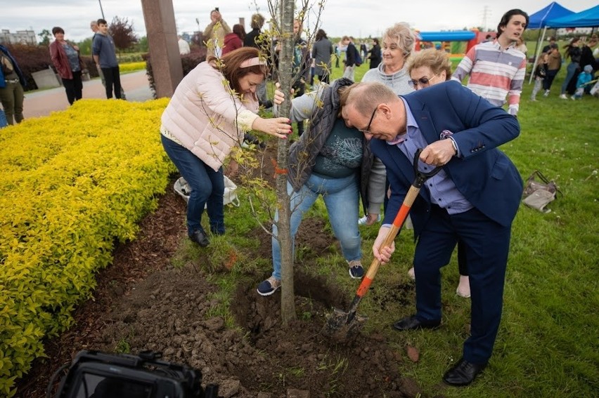 Konrad Fijołek sadził drzewa w Parku Papieskim w Rzeszowie [ZDJĘCIA]