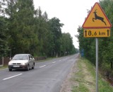 Niebezpieczna droga Dzików-Smolarnia
