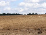 Radzimy, jak przekształcić działkę rolną na budowlaną. Odrolnienie gruntu.