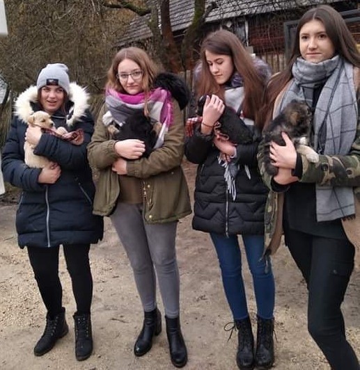 Młodzież z gminy Łopuszno zebrała 150 kilogramów karmy dla zwierząt