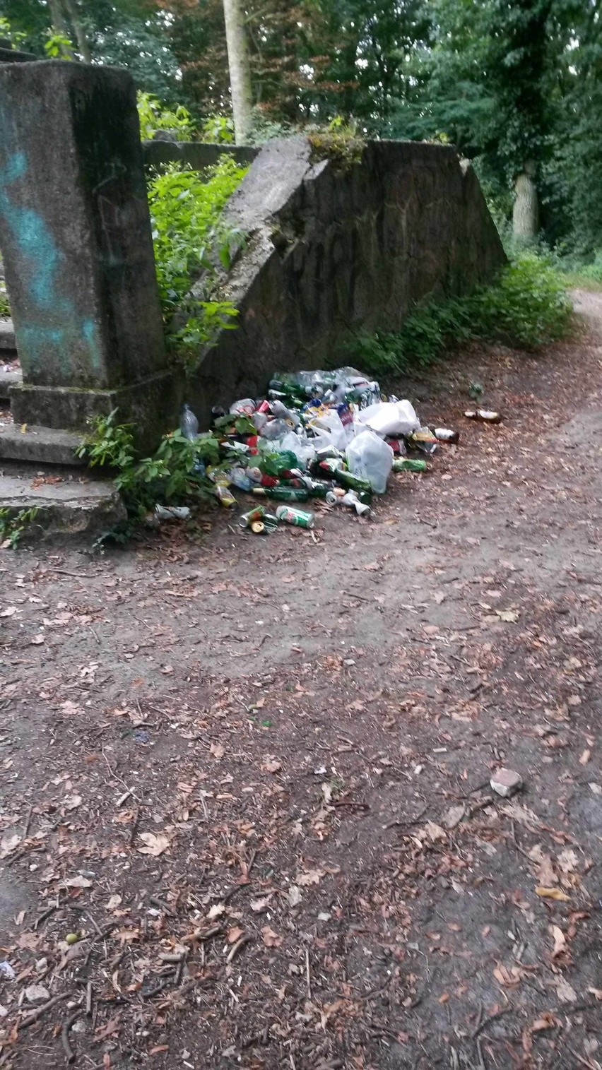Wstyd! Plaga dzikich wysypisk w Szczecinie. Ponad 100 ton śmieci w lasach 