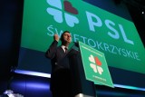 Sondaż IBRiS: Polacy chcą, żeby Władysław Kosiniak-Kamysz z PSL był premierem, jeśli wybory parlamentarne 2019 wygra opozycja