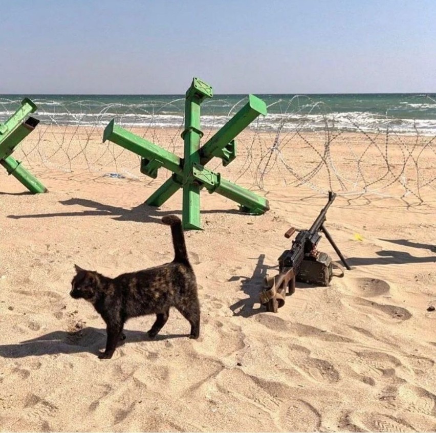Plaże w Odessie są teraz zaminowane i ciągną się przez nią...