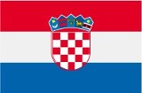Mundial 2014. Pranjić zagra na MŚ. Vrsaljko zmiennikiem w meczu otwarcia